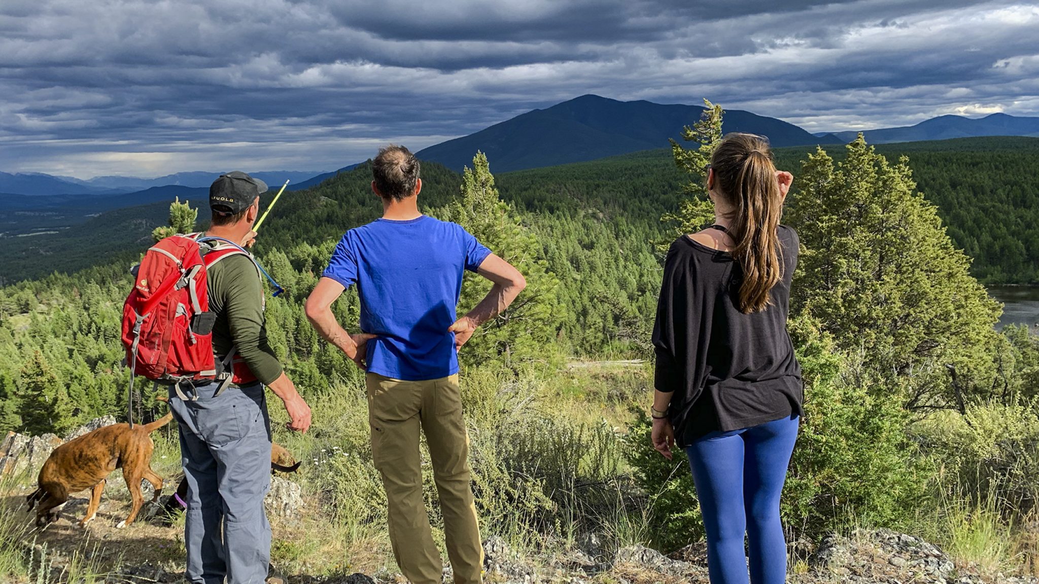 bee-line-trail-top