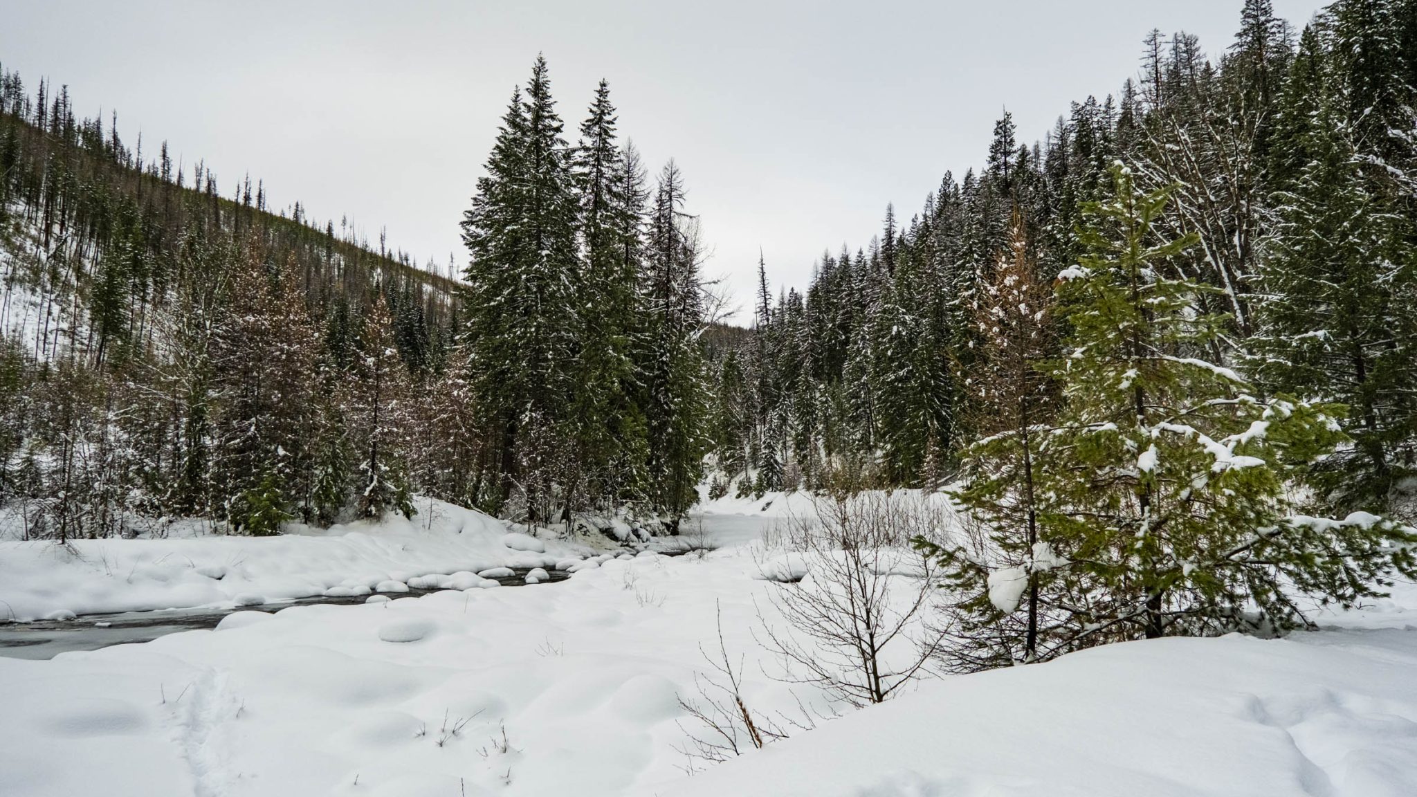 Location Scout - Moyie Lumberton Falls 122822 WEB-4